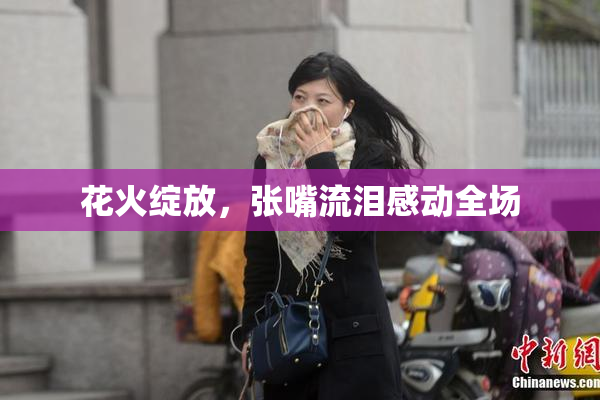 花火绽放，张嘴流泪感动全场