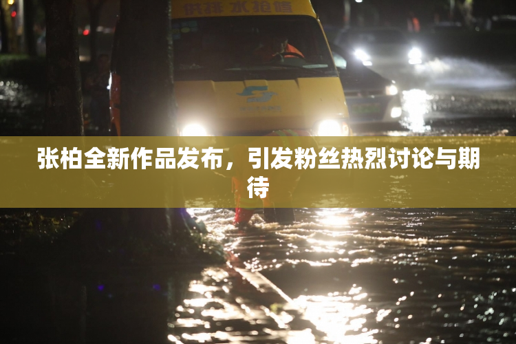 张柏全新作品发布，引发粉丝热烈讨论与期待