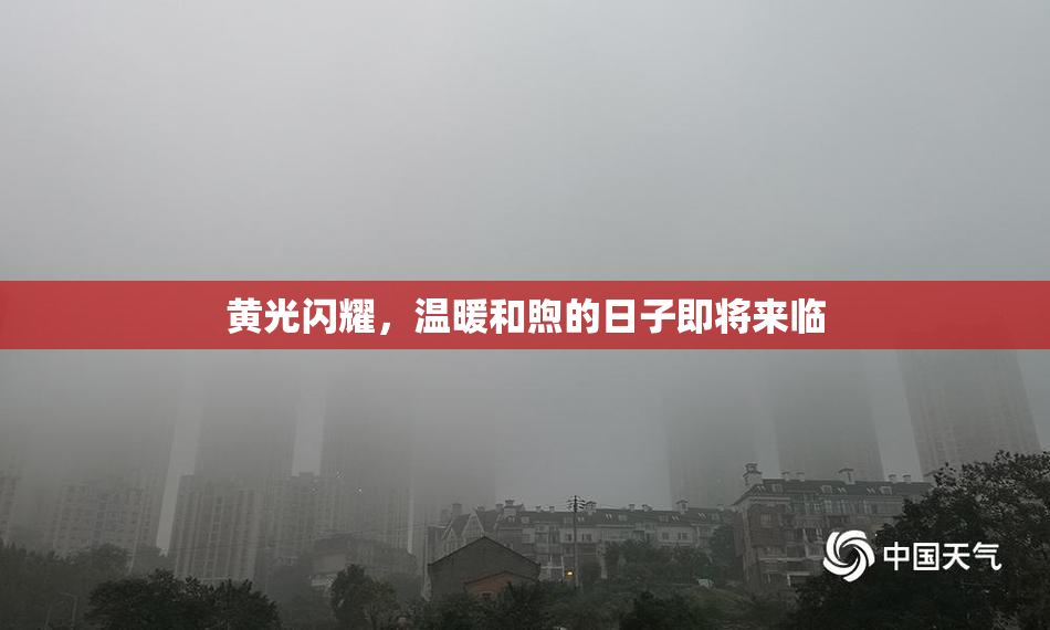 黄光闪耀，温暖和煦的日子即将来临