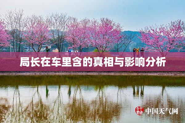 局长在车里含的真相与影响分析