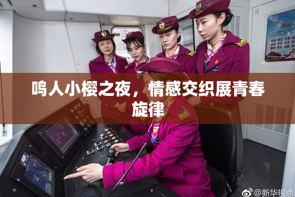 鸣人小樱之夜，情感交织展青春旋律