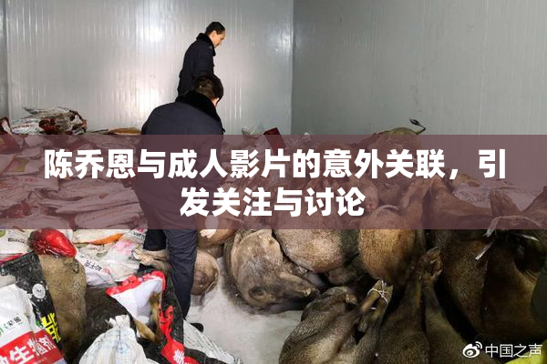 陈乔恩与成人影片的意外关联，引发关注与讨论