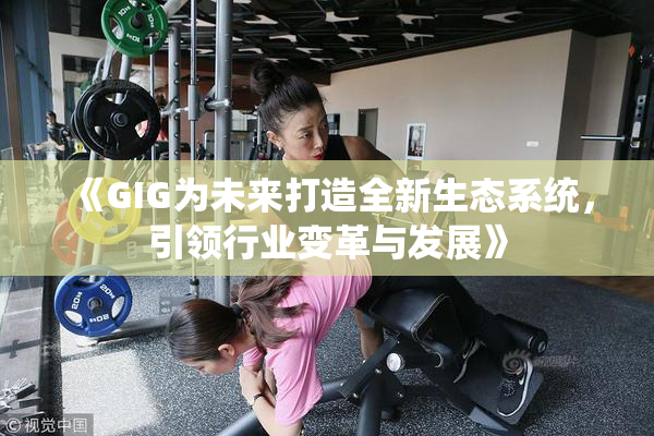《GIG为未来打造全新生态系统，引领行业变革与发展》