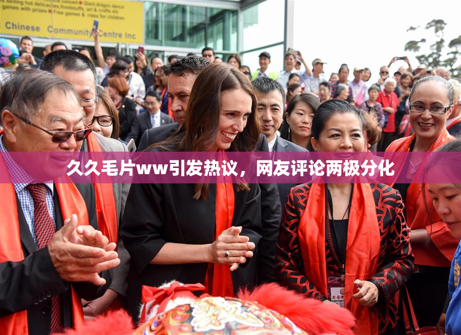 久久毛片ww引发热议，网友评论两极分化
