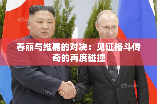 春丽与维嘉的对决：见证格斗传奇的再度碰撞