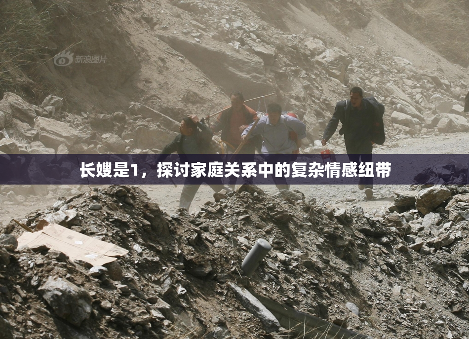 长嫂是1，探讨家庭关系中的复杂情感纽带
