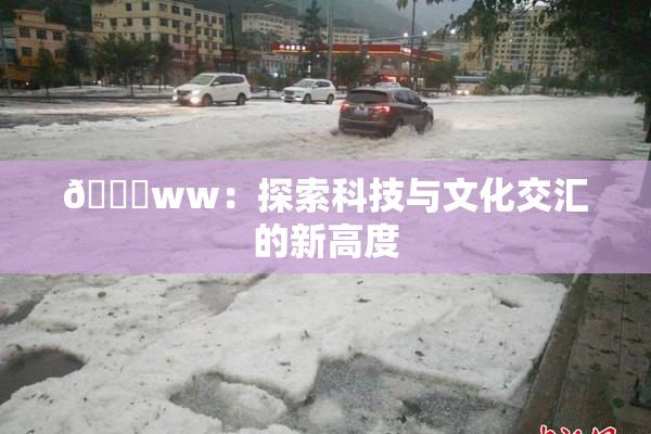 🔞ww：探索科技与文化交汇的新高度