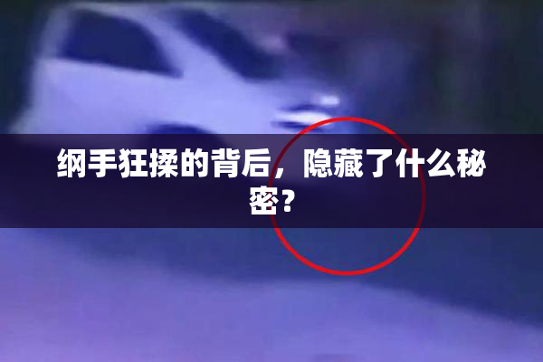 纲手狂揉的背后，隐藏了什么秘密？
