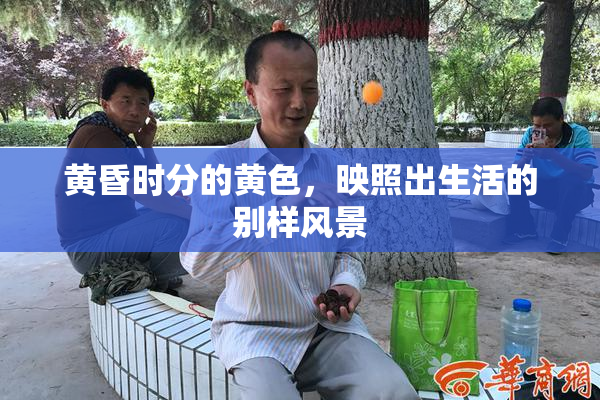 黄昏时分的黄色，映照出生活的别样风景