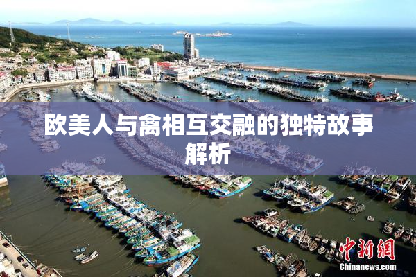 欧美人与禽相互交融的独特故事解析