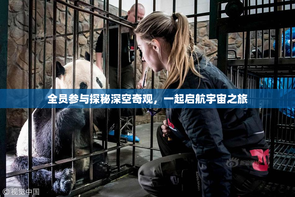 全员参与探秘深空奇观，一起启航宇宙之旅
