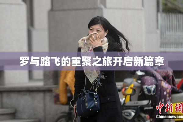 罗与路飞的重聚之旅开启新篇章
