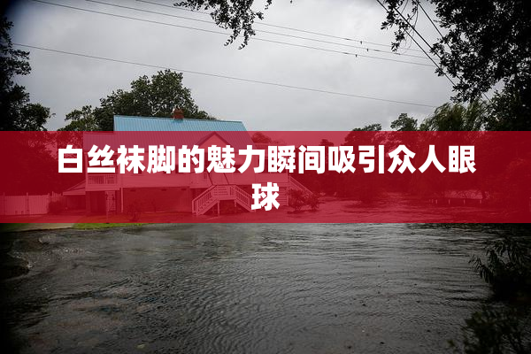 白丝袜脚的魅力瞬间吸引众人眼球