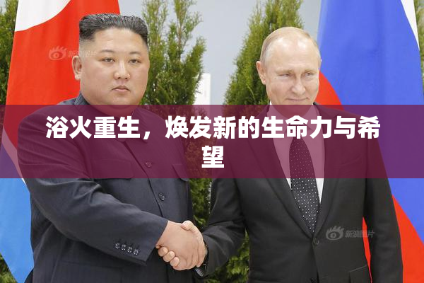 浴火重生，焕发新的生命力与希望