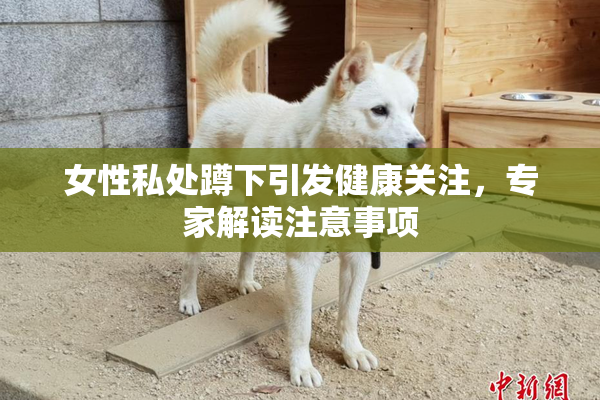 女性私处蹲下引发健康关注，专家解读注意事项