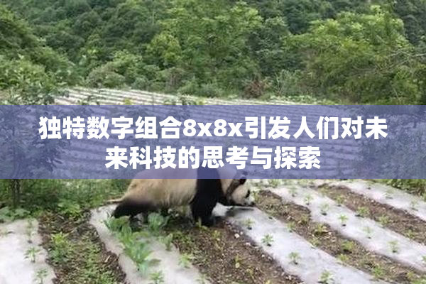 独特数字组合8x8x引发人们对未来科技的思考与探索