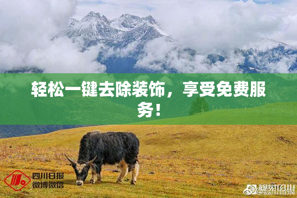 轻松一键去除装饰，享受免费服务！