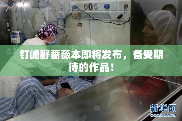 钉崎野蔷薇本即将发布，备受期待的作品！