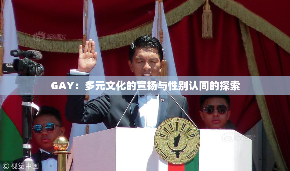GAY：多元文化的宣扬与性别认同的探索