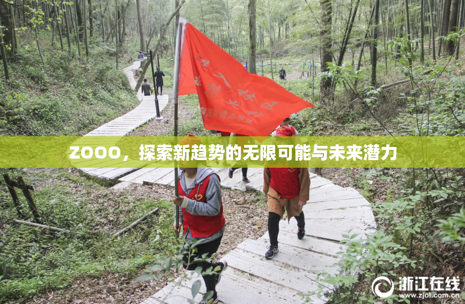 ZOOO，探索新趋势的无限可能与未来潜力