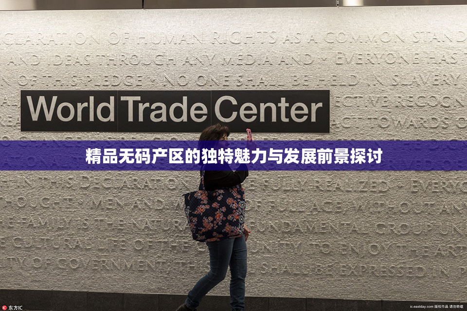 精品无码产区的独特魅力与发展前景探讨