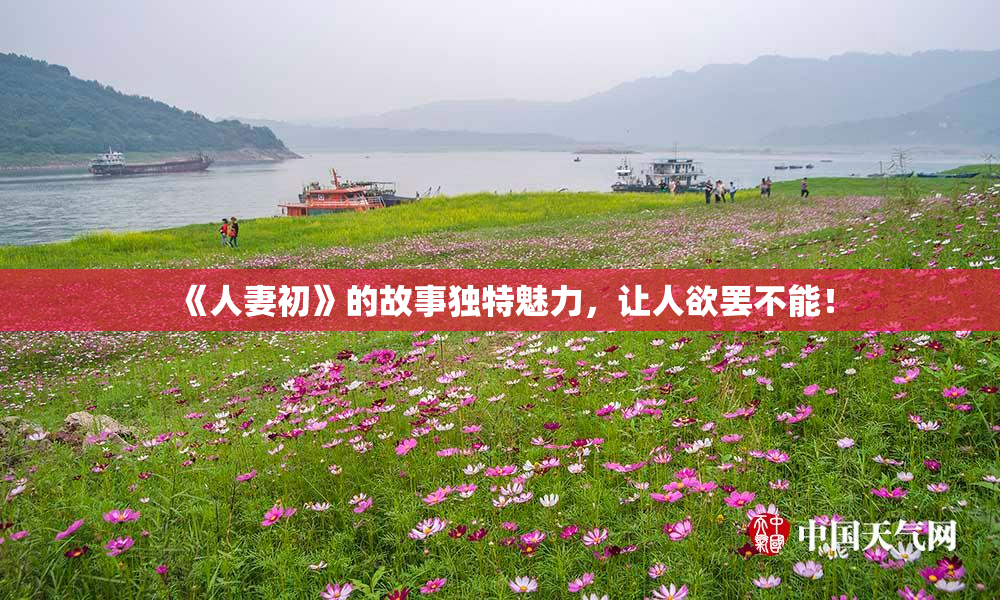 《人妻初》的故事独特魅力，让人欲罢不能！