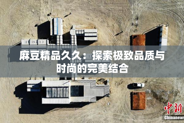 麻豆精品久久：探索极致品质与时尚的完美结合