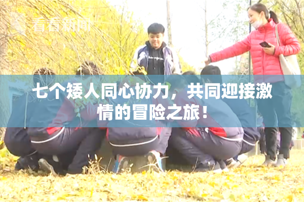 七个矮人同心协力，共同迎接激情的冒险之旅！