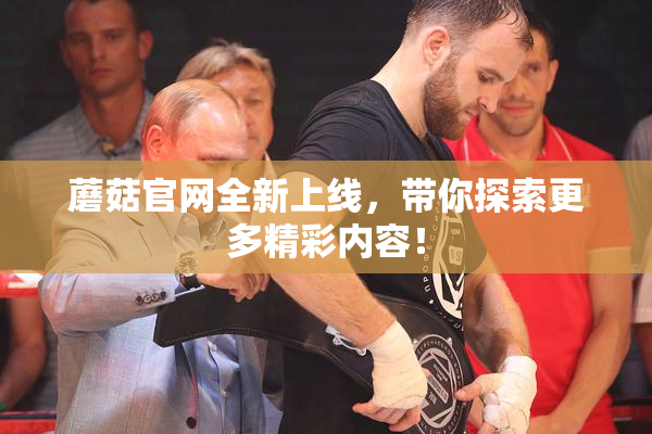 蘑菇官网全新上线，带你探索更多精彩内容！