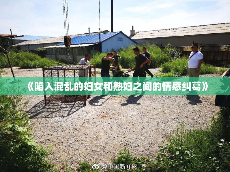 《陷入混乱的妇女和熟妇之间的情感纠葛》