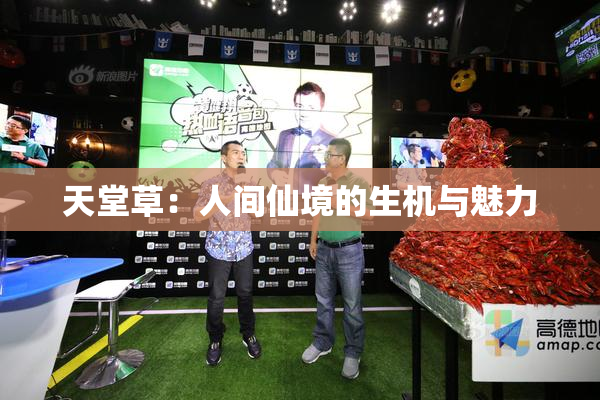 天堂草：人间仙境的生机与魅力