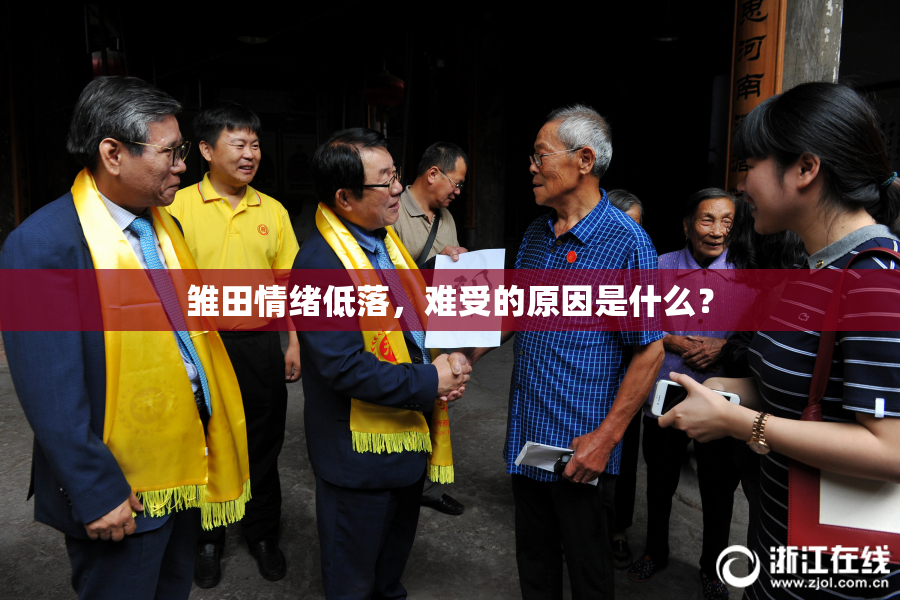 雏田情绪低落，难受的原因是什么？