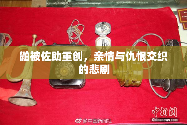 鼬被佐助重创，亲情与仇恨交织的悲剧