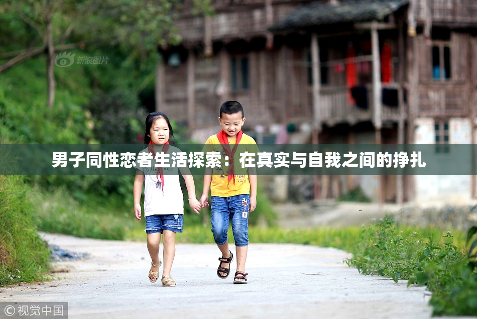 男子同性恋者生活探索：在真实与自我之间的挣扎