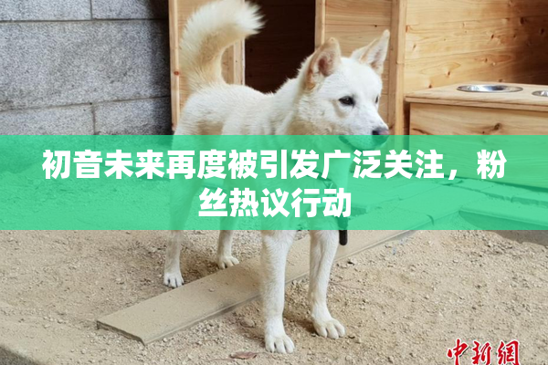 初音未来再度被引发广泛关注，粉丝热议行动