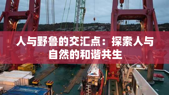 人与野鲁的交汇点：探索人与自然的和谐共生