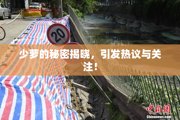 少萝的秘密揭晓，引发热议与关注！
