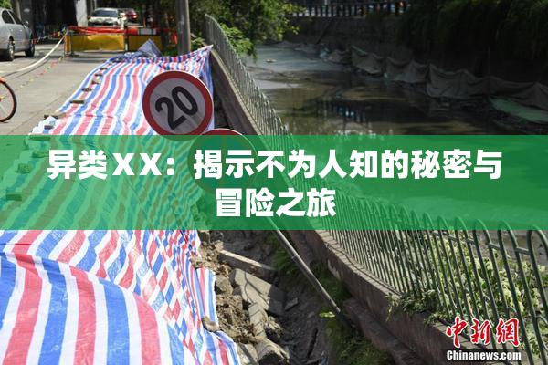 异类ⅩX：揭示不为人知的秘密与冒险之旅