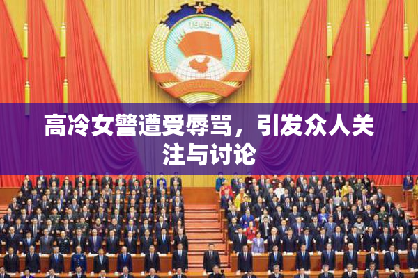 高冷女警遭受辱骂，引发众人关注与讨论