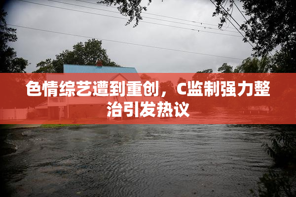 色情综艺遭到重创，C监制强力整治引发热议