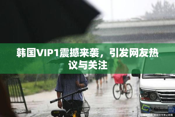 韩国VIP1震撼来袭，引发网友热议与关注
