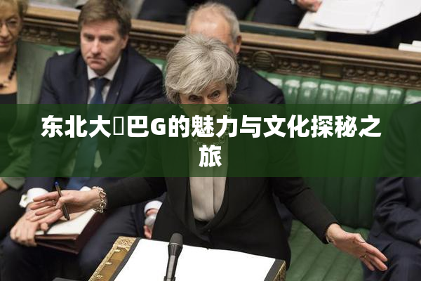 东北大鷄巴G的魅力与文化探秘之旅