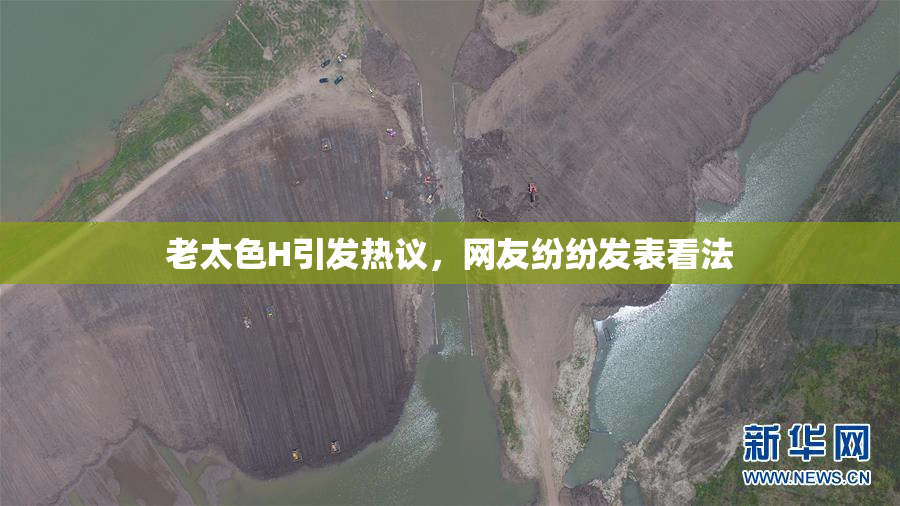 老太色H引发热议，网友纷纷发表看法