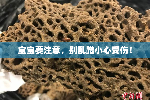 宝宝要注意，别乱蹭小心受伤！