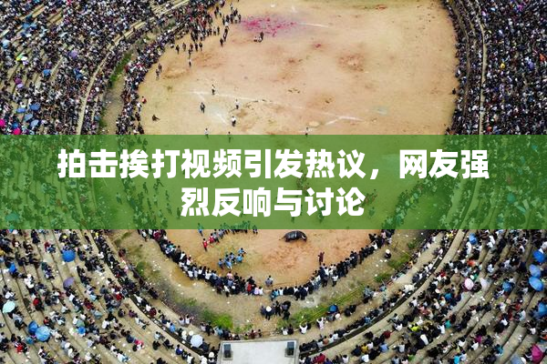 拍击挨打视频引发热议，网友强烈反响与讨论