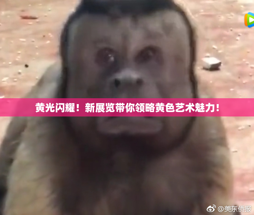 黄光闪耀！新展览带你领略黄色艺术魅力！