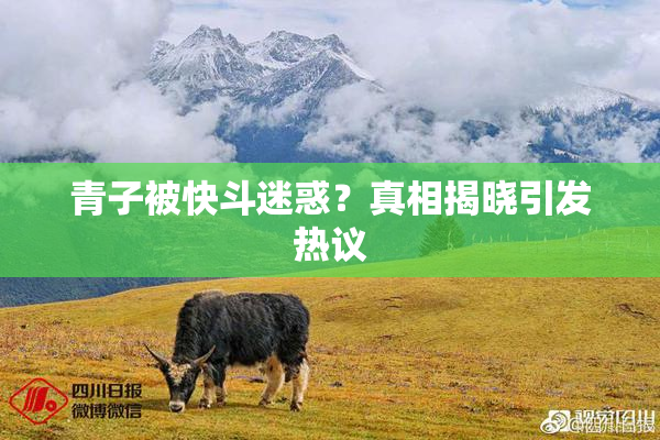 青子被快斗迷惑？真相揭晓引发热议