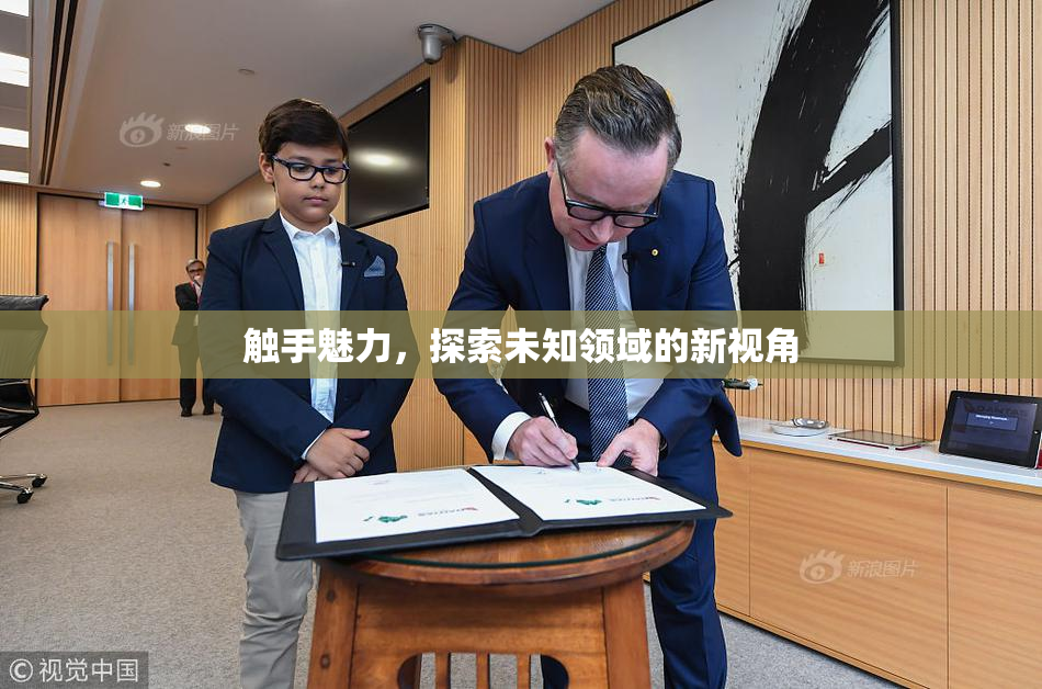 触手魅力，探索未知领域的新视角
