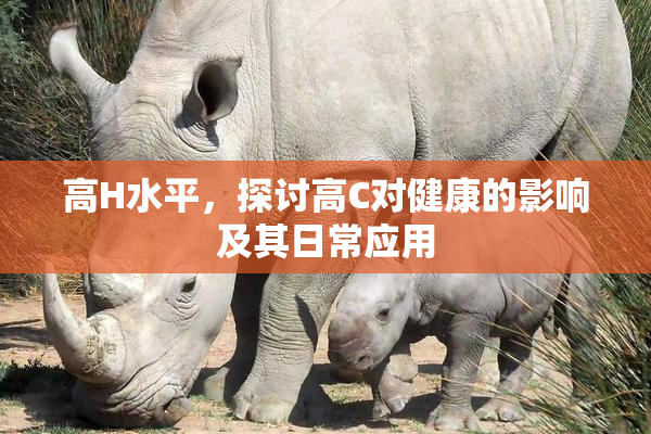 高H水平，探讨高C对健康的影响及其日常应用