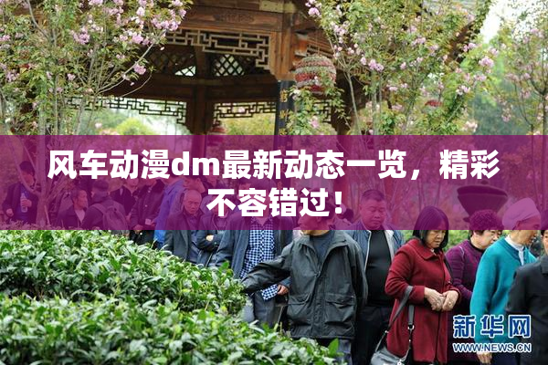 风车动漫dm最新动态一览，精彩不容错过！